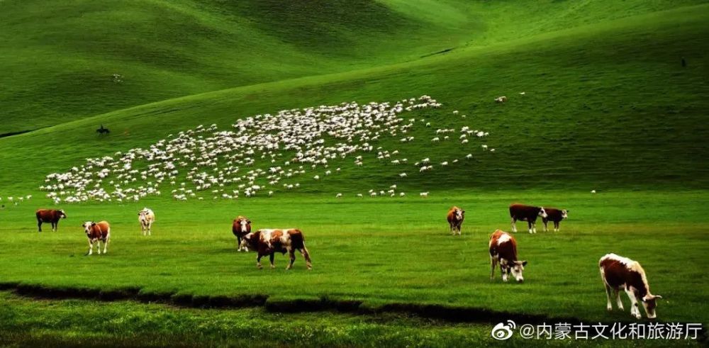 卫星x避暑胜地内蒙古自治区科尔沁草原