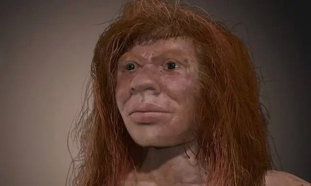 丹尼索瓦人最纯正的后裔在这个海岛