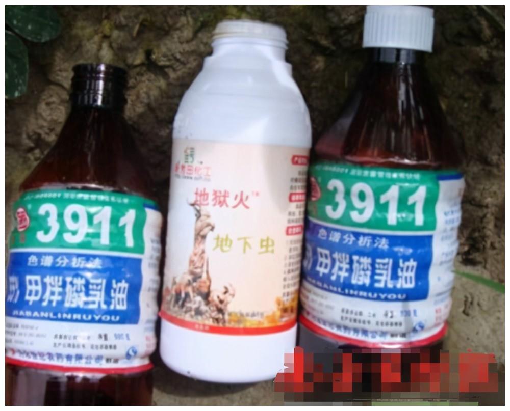 1998年静海一中投毒案始末:高二女生失恋,毒杀宿舍6