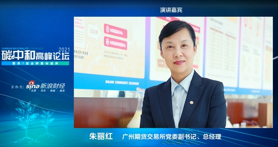 专家观点广期所朱丽红实现碳达峰需要碳排放权期货支持