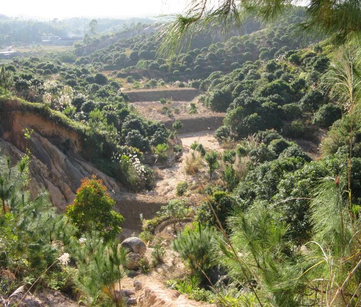 六比一看守好绿水青山发展保护两相和