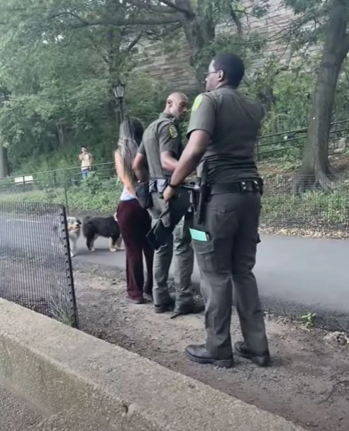 美国女子在纽约公园遛狗不牵绳最新，又无法提供个人信息，被警察用手铐带走好朋友韩国免费观看