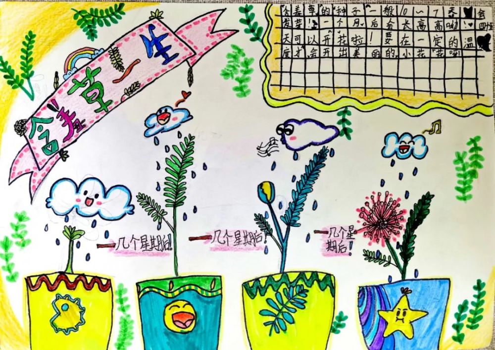 《含羞草的一生》 王雯晴《兰花螳螂》 贾庆正《"毛毛虫"历险记》