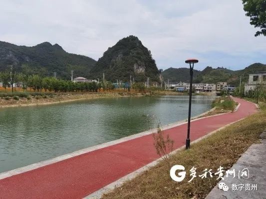 紫云县猫营镇:建设美丽宜居乡村,推进农业和农村高质量发展