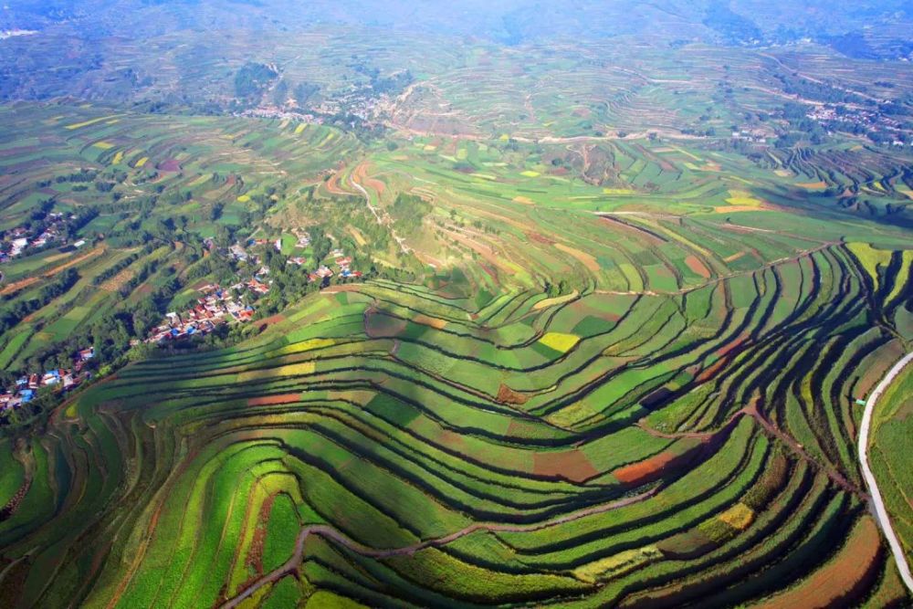 变幻着晨雾如梦似幻照亮了一弯弯曲线优美的药田红霞点燃了一道道山梁