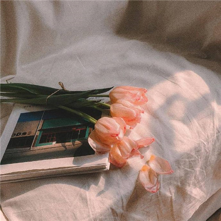 舒服且高级的朋友圈背景图