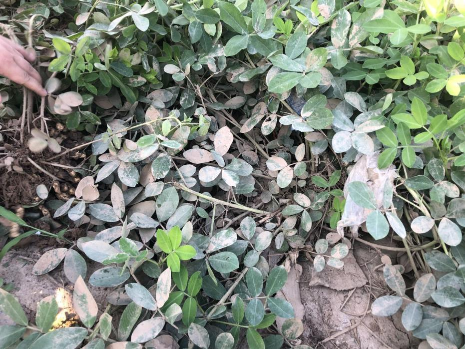 其多列的意思重倉協(xié)查石油加倉全球一年級語文輔導內(nèi)容