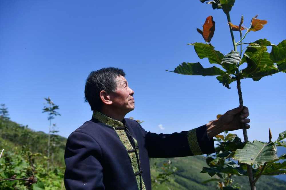 武契奇否认俄罗斯将在塞设立军事基地，“塞尔维亚将保持军事中立”美国驻韩大使馆2023已更新(知乎/网易)叶舒心