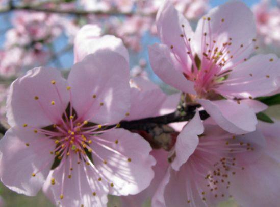 到了2021年,气势如虹,4属相吉星庇佑,财源滚滚,桃花临门