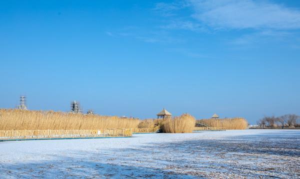 白鹭洲景区是年轻人的天堂,这里有中国最大的沙漠滑雪场,滑雪场宽90米
