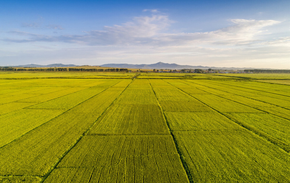 黑龙江和我国其他产粮大省一样,都位于平原地区;地处中国最大的平原