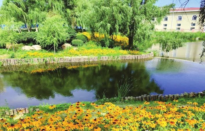 长春公园打造珍珠湖"丝路花语"滨水景观带