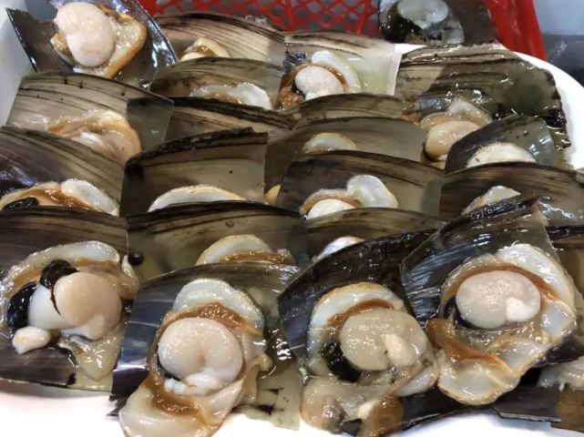 吴川人!今天"开渔"了,一起去食海鲜囖