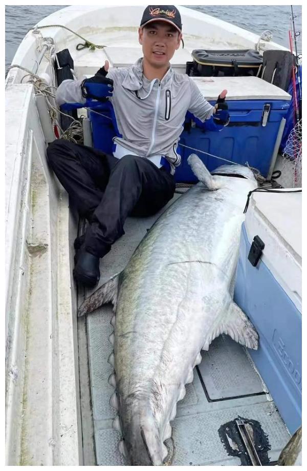 浙江父子钓上罕见马鲛鱼刚上岸就有人出10000买走