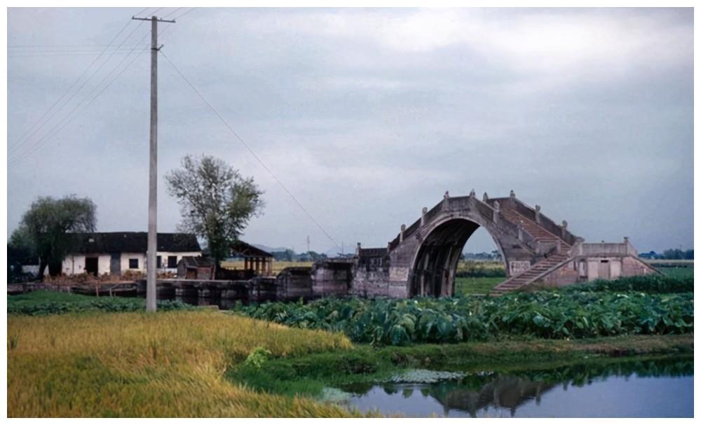 浙江老照片,1983年绍兴乡村景象流出!看下变化大不大