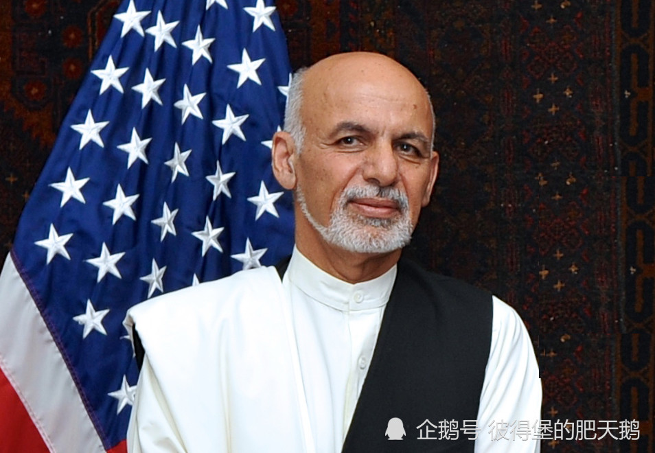 塔利班总统图片