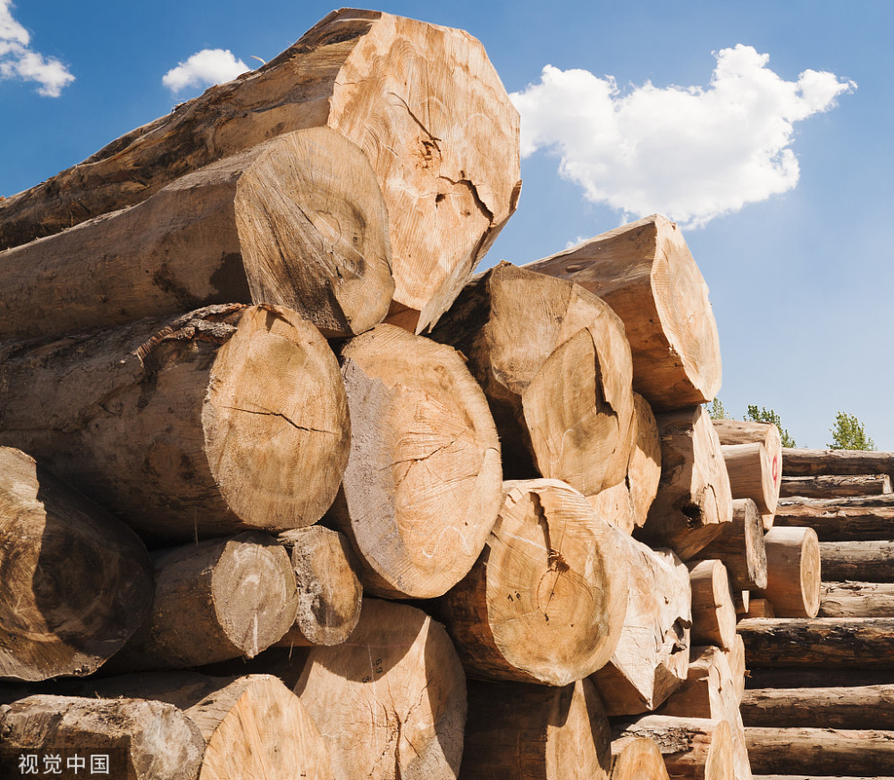 农村人用来当柴烧的旧木头,如今有人出高价回收,到底有什么用途呢?