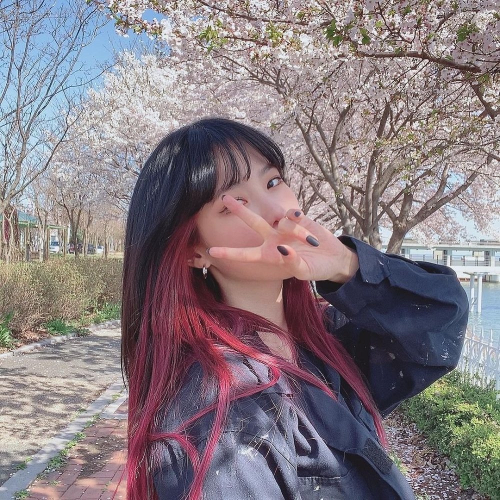 无法抗拒的他杨惠智剧中吴光娜