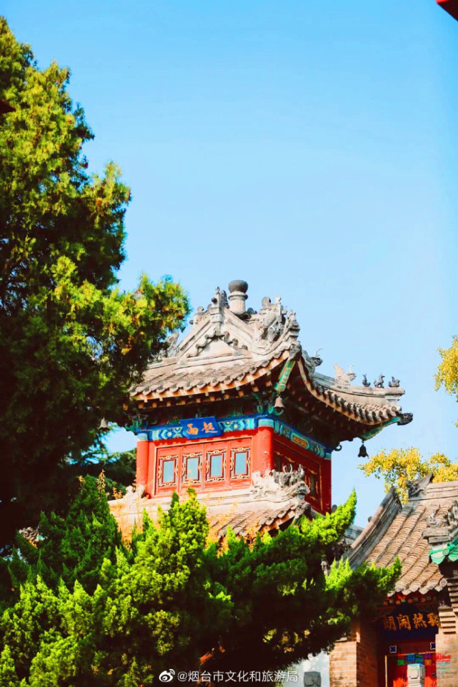 烟台市文化和旅游局撒野烟台