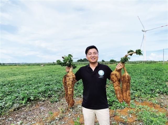 90后青年下乡种葛根科创模式带动农户脱贫增收