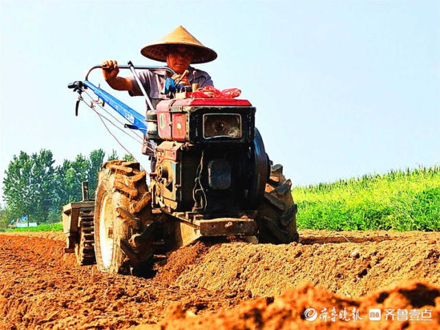抢秋时,忙耕种!立秋后,有些蔬菜到了播种期,看看农民伯伯都种了啥?