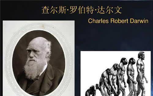 苏联科学家找5名女性志愿者,进行人与猩猩后代实验,结果如何?