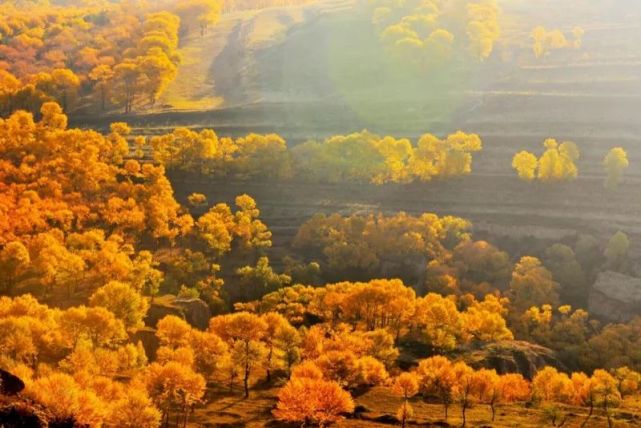 打开腾讯新 autumn 在这里,历史馈赠的边塞风光