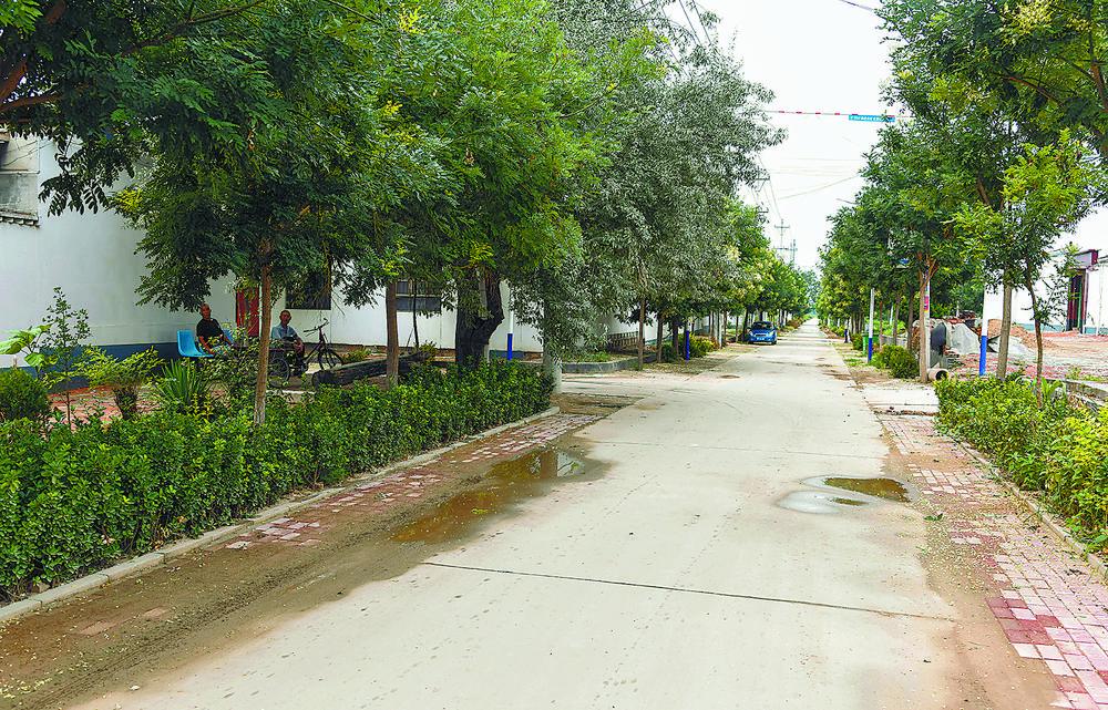 大城县:示范引领推动全域面貌上档升级