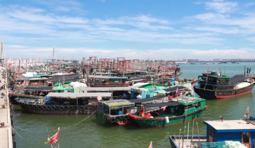 白马井镇中心渔港开渔啦