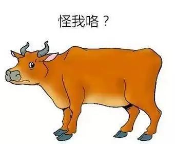 22岁小伙胆真大不光冒充村支书儿子还秘密窃取财物结果