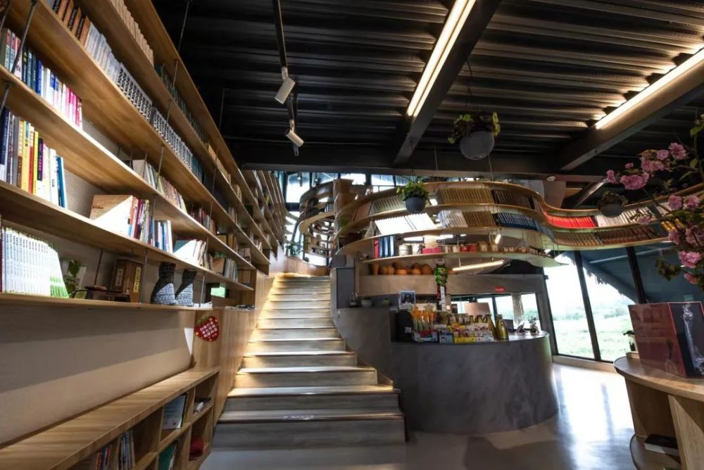 梨花蹁跹,墨香悠长,央视打卡彭州最美乡村图书馆-彭州市