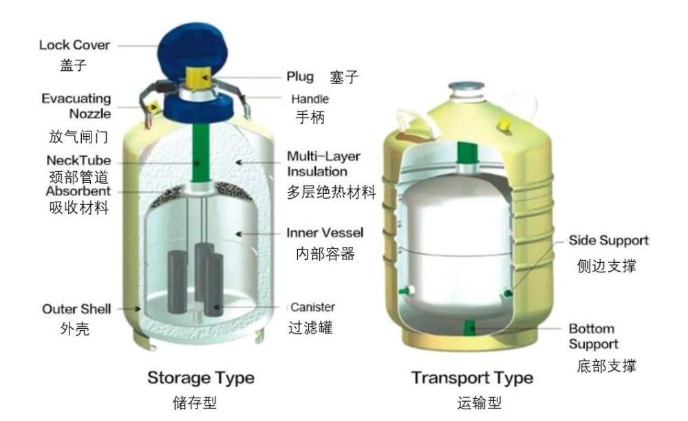 因此必须储存在专门的容器中,这种特制的容器叫杜瓦瓶(dewar)