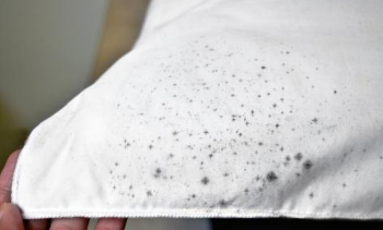 内裤长霉点还能穿吗?女性更要注意!