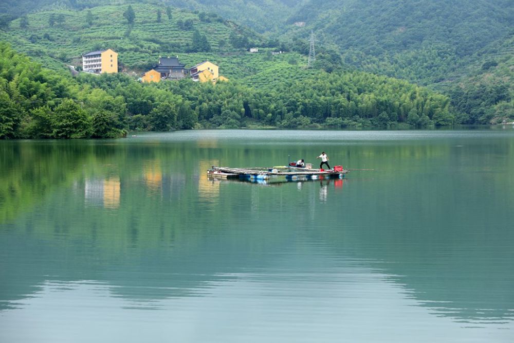 章圣寺水库胖头鱼又大又胖钓鱼者的乐园