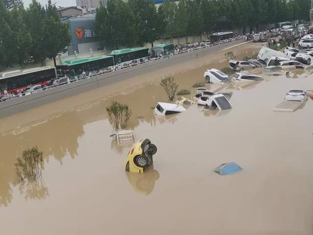 暴雨之后河南又出现大量飞虫,并一夜之间全死去