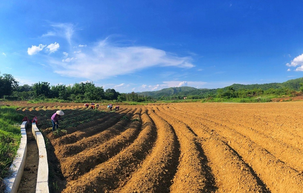 新丰探索"431"模式,让万亩"沉睡"耕地焕发新活力_腾讯新闻