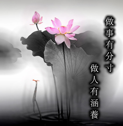 三,你的涵养和素质体现在你的行动里,一个有涵养的人,时刻都是清醒的.