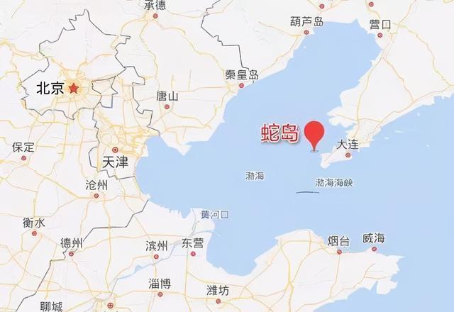 73平方公里的大连蛇岛上,生活着2万多条毒蛇,它们吃什么?