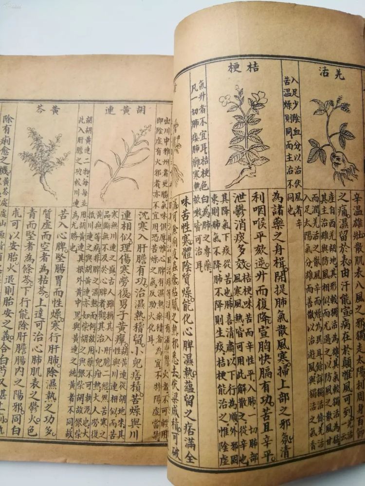 其二,葛根主入脾,胃经,《神农本草经》载其可"起陰气",《本草便读》言