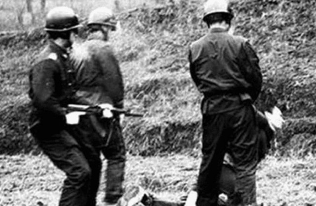 1983年第一次严打到底处决了多少人人数难以想象