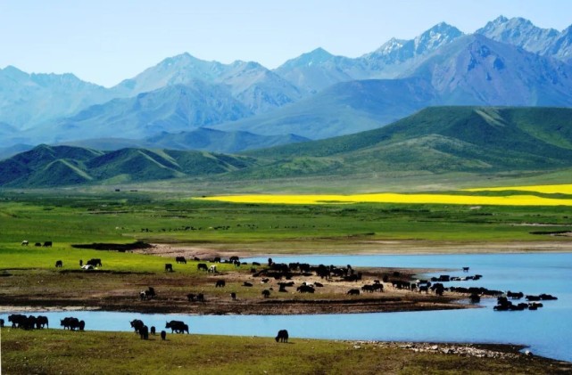 山丹县:多举措激发文旅市场消费活力