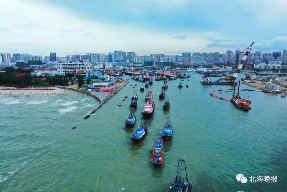 北海开海首日,他们在码头蹲守到了第一波海鲜!