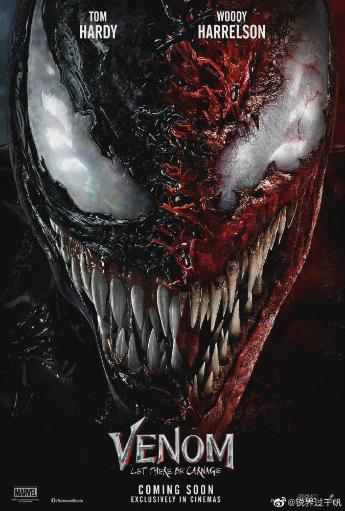 我们喜欢看到毒液的反差萌,看到它与埃迪的争吵与合作,我期待一个更加