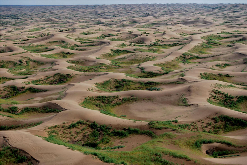 15年前,山西"煤老板"8年花光6亿,戈壁滩上种葡萄,最后怎么样了?