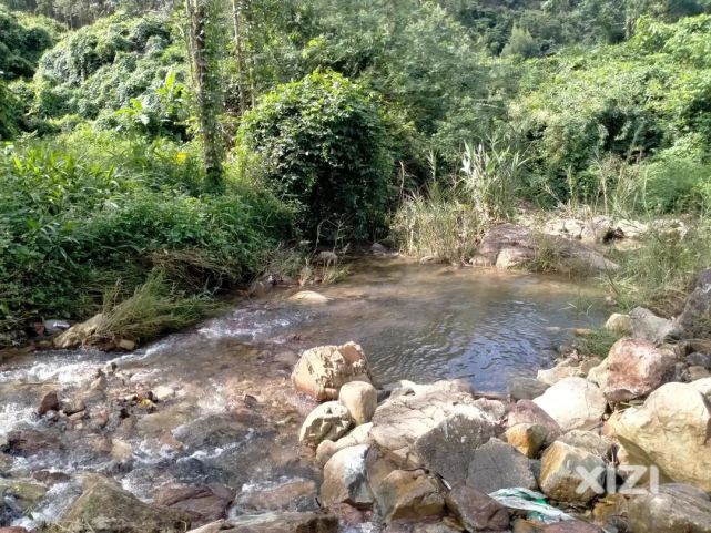 惠東有個玩水的好地方,大家卻擔心……|白水寨瀑布|西子湖畔|惠東