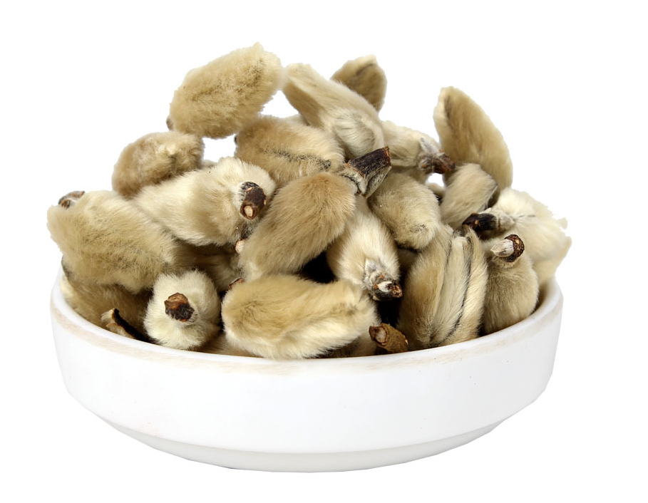 中药半月谈丨辛夷花 腾讯新闻