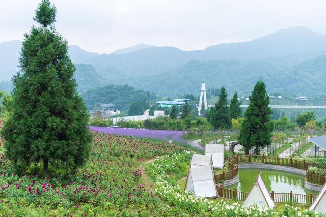 黄连之乡重庆石柱:一个容易被忽视的旅游圣地,景点众多,附3日游攻略