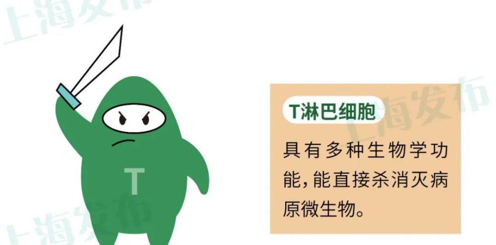 医聊我是遍布人体的淋巴我不喜欢被按摩