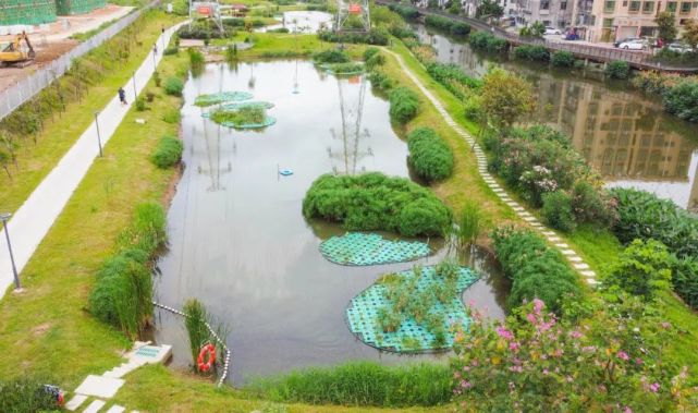 具体就在……|湿地公园|五福涌|珠海|井岸镇|新青