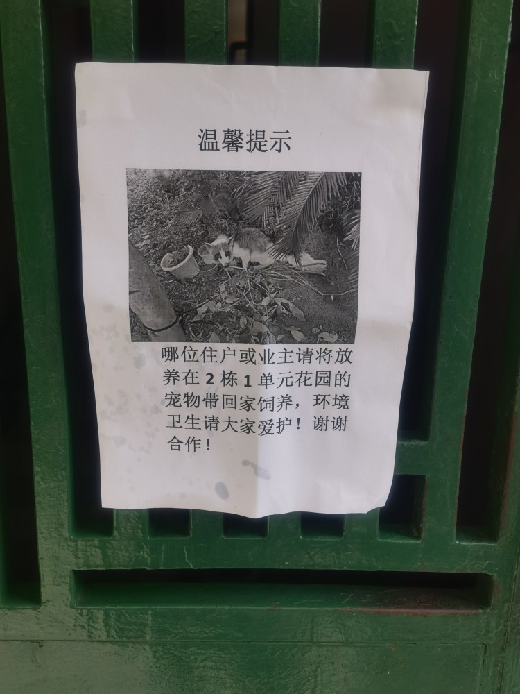 小型犬狗粮排行榜_宠知识|狗狗身价排行榜,看完好想当条狗!